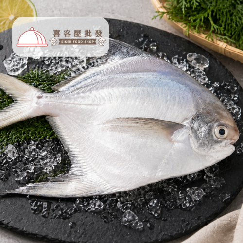 印度大白鯧(500.600g) 印度大白鯧(500/600g)