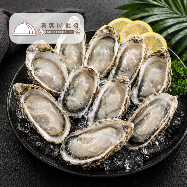 日本兵庫生食生蠔(1Kg約9-11顆)01 日本兵庫生食生蠔(1Kg約9-11顆)